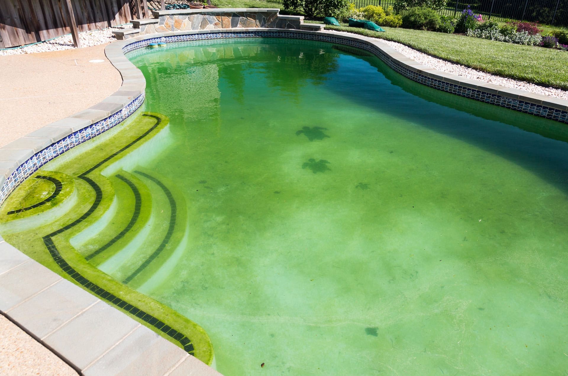 green-pool Pool Recovery services for your Miami Home