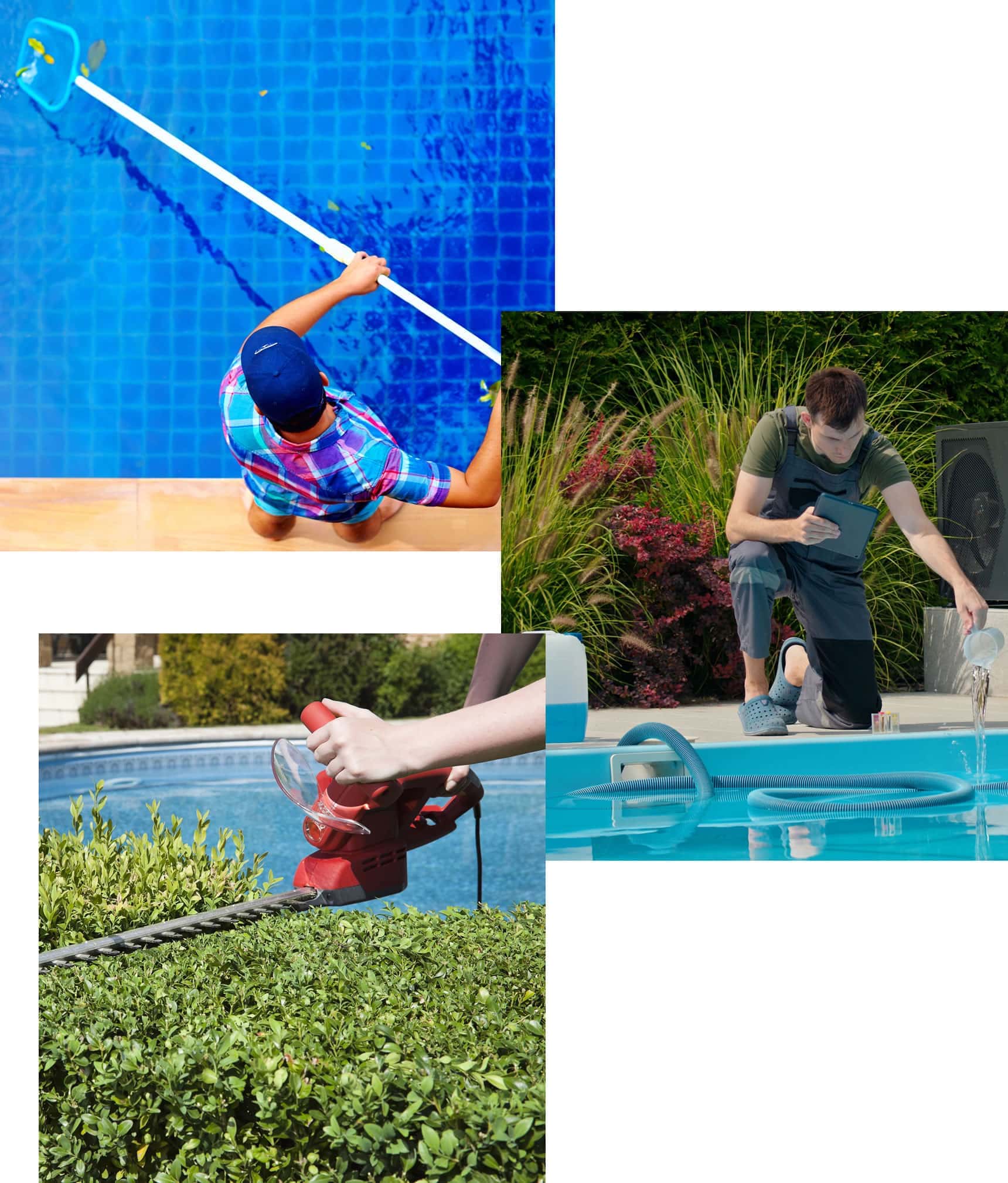 pool-and-garden-service-miami