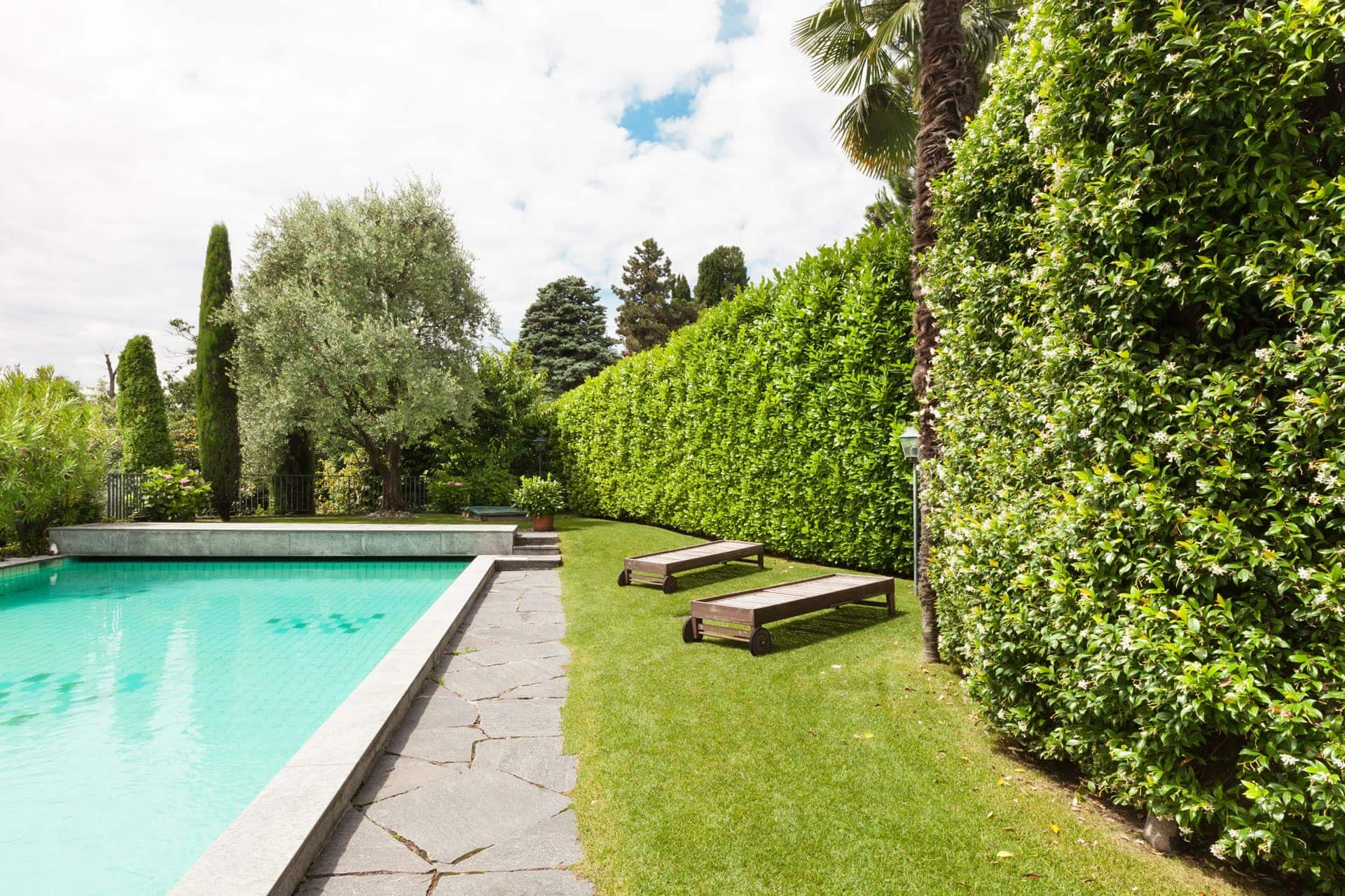 Yard cleaning service for your Miami home Yard cleaning service for your Miami home